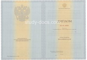 Диплом специалиста 2012-2013 в Нижнем Новгороде